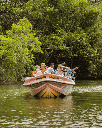 Madu River Safari & Turtle Hatchery (Balapitiya / Kosgoda)
