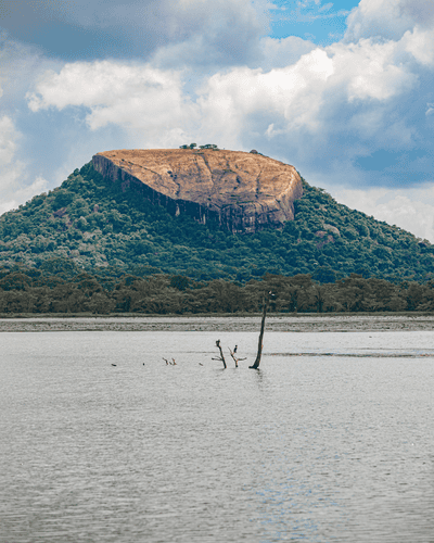Dambulla, Pidurangala & Sigiriya Day Tour
